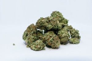 Nieuwe criteria voor coffeeshops in Nederland