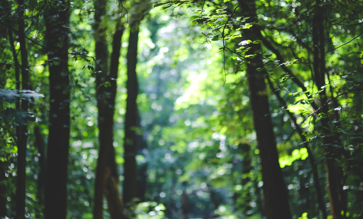 Growing in nature