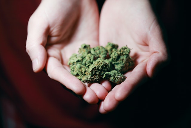 Cannabis en paracetamol