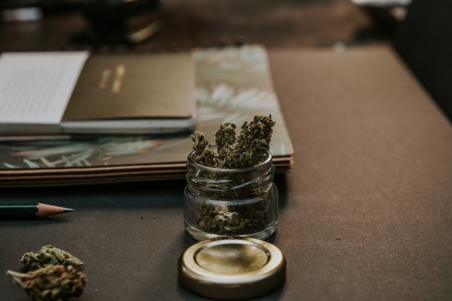 Skunk Weed