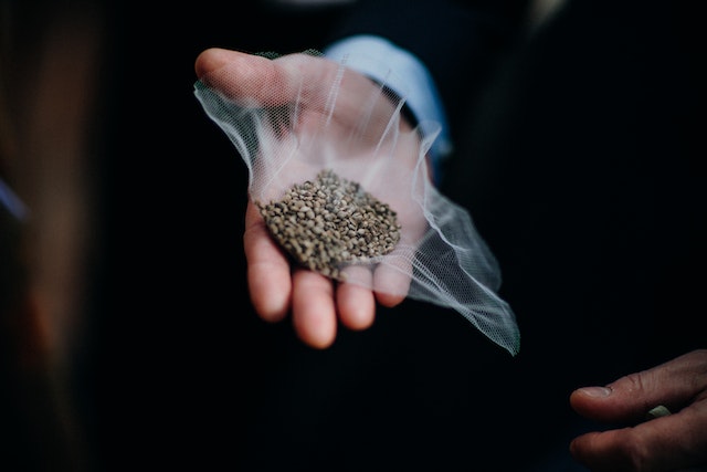 Hemp seed healthy
