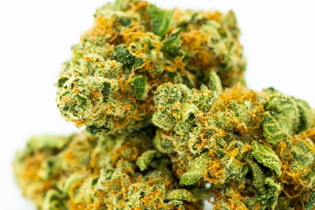 cannabis high