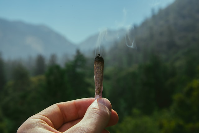 Fasen van een high